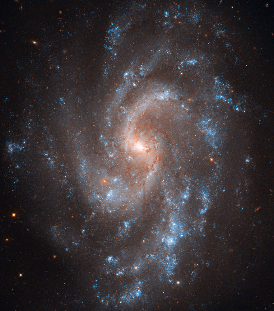 NGC 5584 Crédito: NASA, ESA, A. Riess (STScI/JHU), L. Macri (Texas A&M University), and the Hubble Heritage Team (STScI/AURA)
